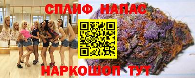 тгк Будённовск
