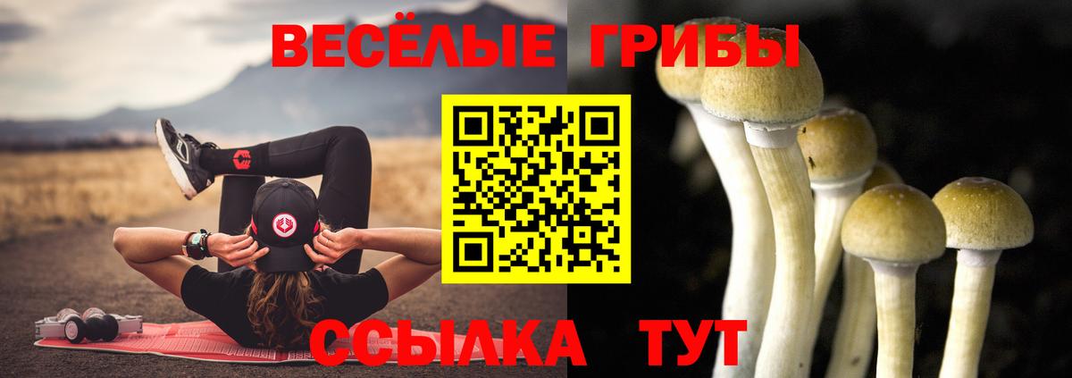 Кумертау  Псилоцибиновые грибы мицелий  Вход с VPN 