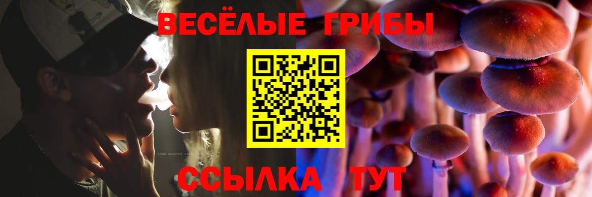 Псилоцибиновые грибы Cubensis Кумертау
